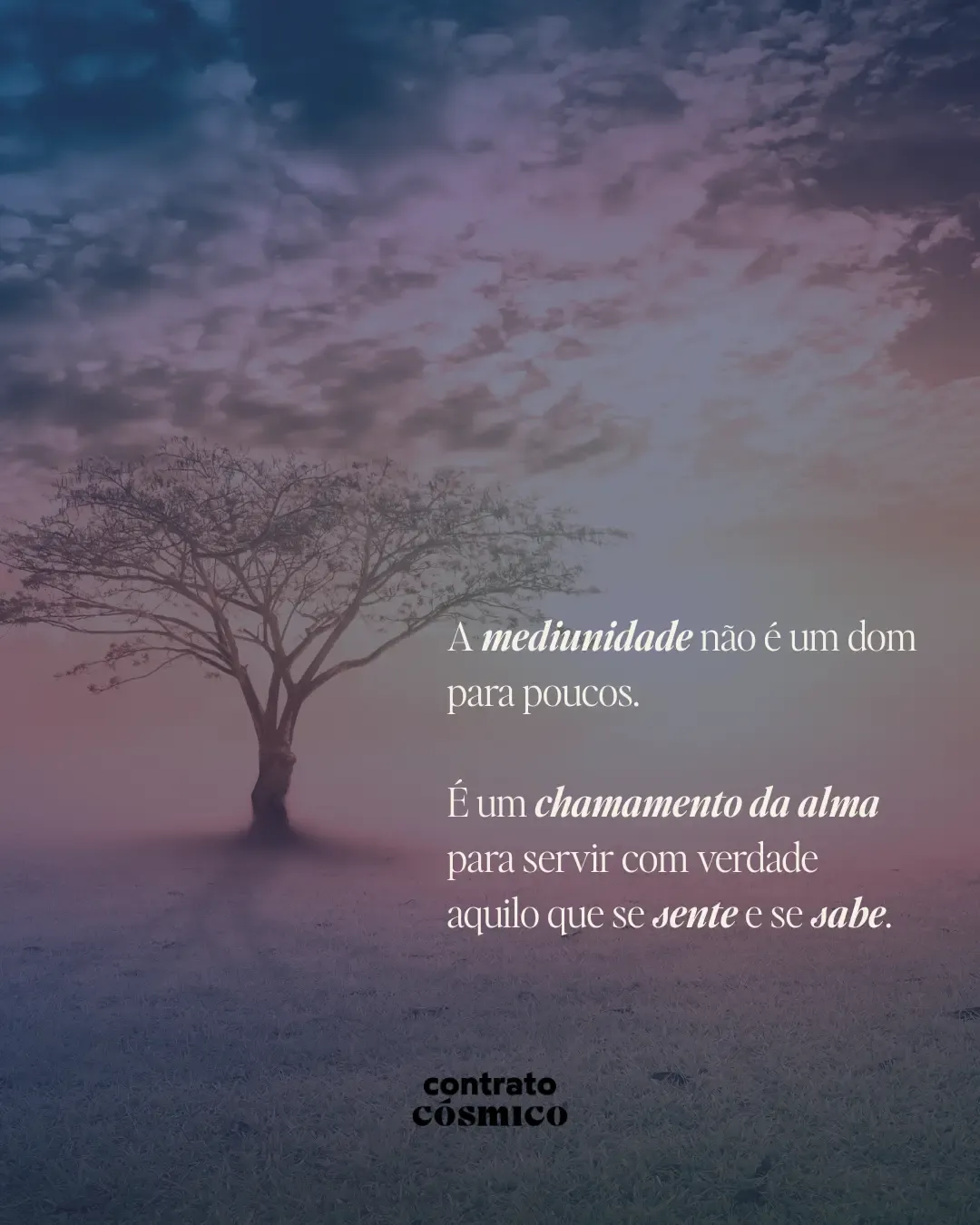A mediunidade não é um dom para poucos. É um chamamento da alma para servir com verdade aquilo que se sente e se sabe.